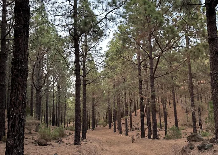 Zulia Suites, Masca, Teide, Gigantes, Excursions, Ac, Wifi-2 Santiago del Teide