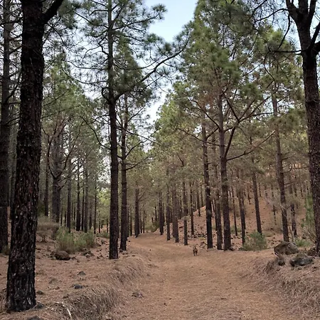 Zulia Suites, Masca, Teide, Gigantes, Excursions, Ac, Wifi-2 Santiago del Teide